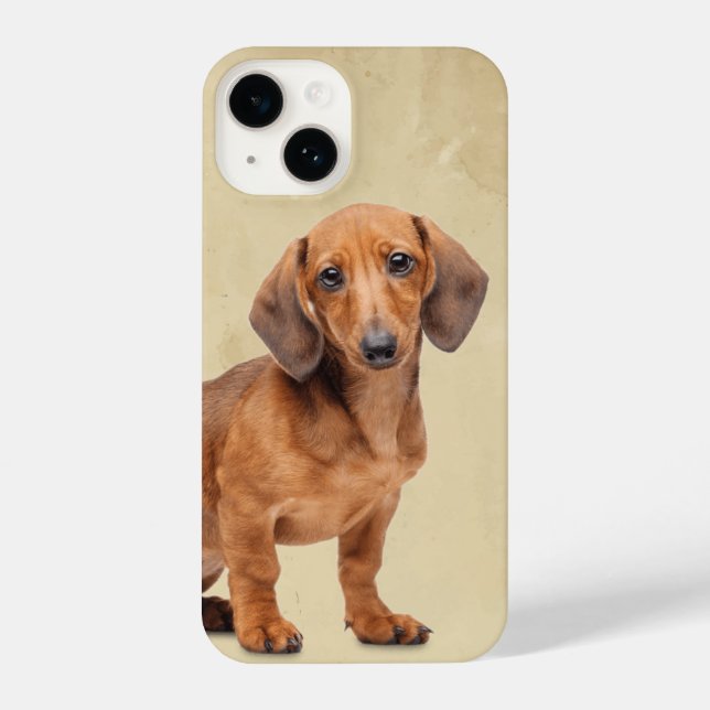 Watercolor Dachshund Dog Pet Animal   iPhone Case (Back)