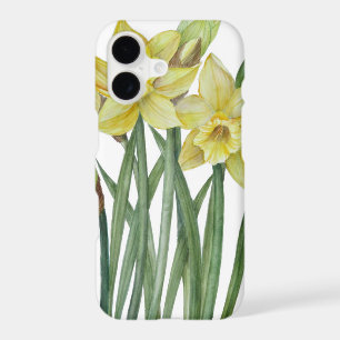 Watercolor Daffodils Flower Portrait Illustration