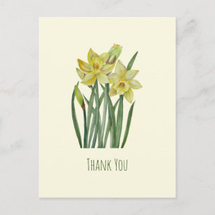 Watercolor Daffodils Flower Portrait Illustration Postcard