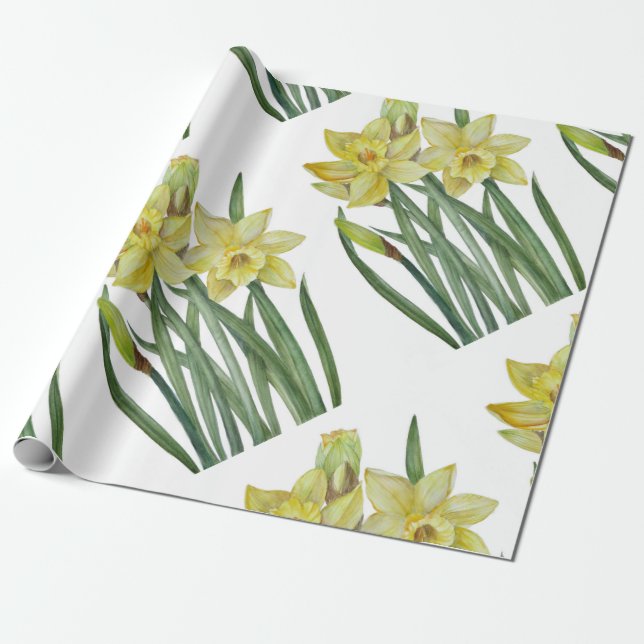 Watercolor Daffodils Flower Portrait Illustration Wrapping Paper (Unrolled)