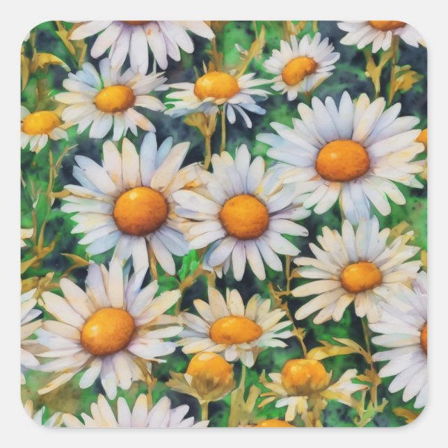 Watercolor Daisy Flowers Garden Square Sticker (Front)