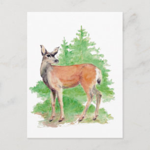 Watercolor Deer, Animal Nature Wildlife Postcard