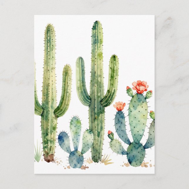 Watercolor Desert Cactus Garden Postcard (Front)