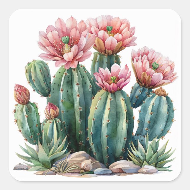 Watercolor desert flowers cacti. square sticker (Front)
