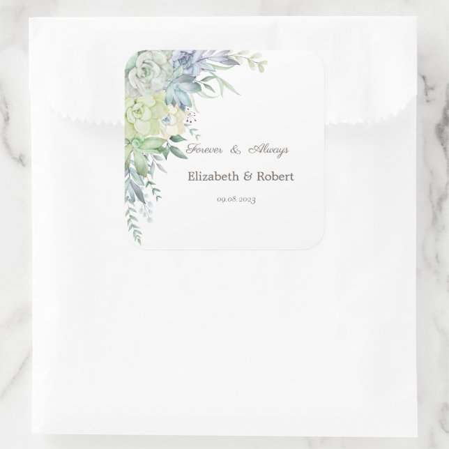 Watercolor Desert Succulents  Square Sticker (Bag)