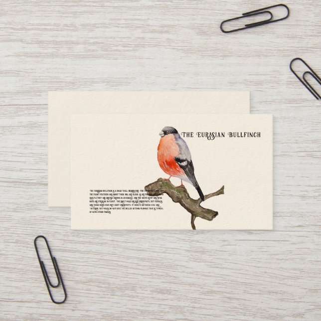 Watercolor design forest bird bullfinch business card (Front/Back In Situ)