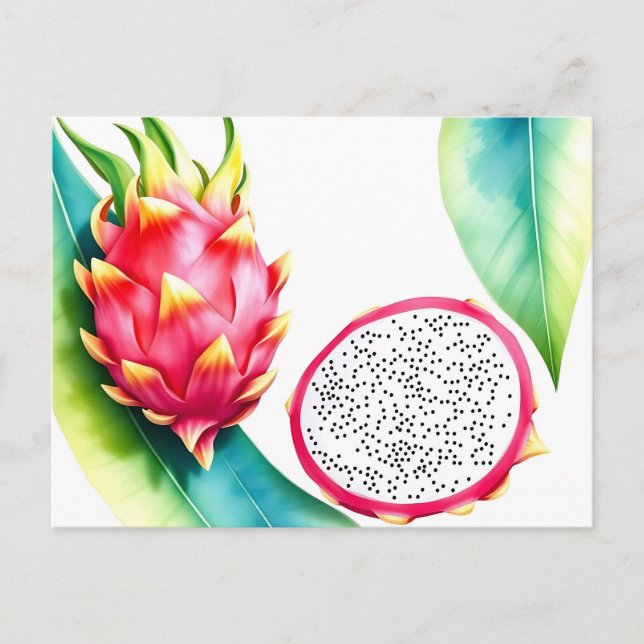 Watercolor Dragon Fruit in Bold Colours on White Postcard (Front)