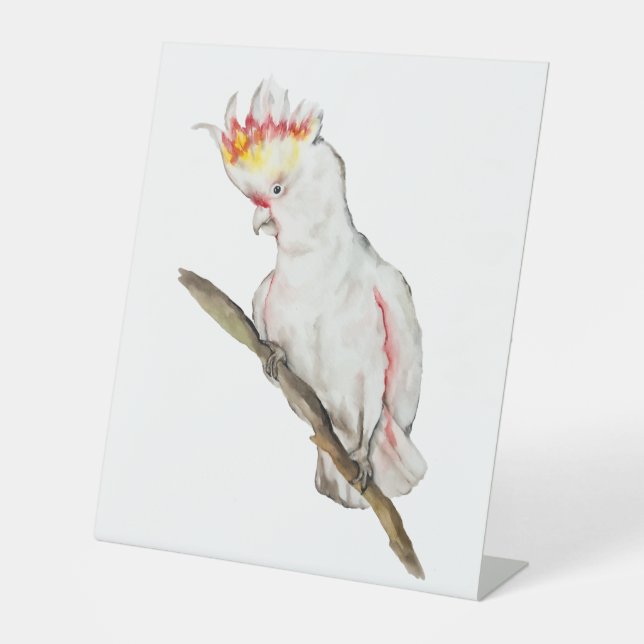 Watercolor drawing of a cockatoo parrot pedestal sign (Front)