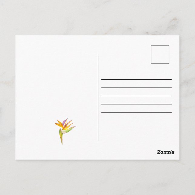 Watercolor drawing of a cockatoo parrot postcard (Back)