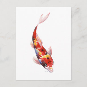 Watercolor  drawing of Koi Carp Postcard