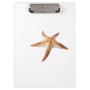 Watercolor Drawing of Starfish Clipboard