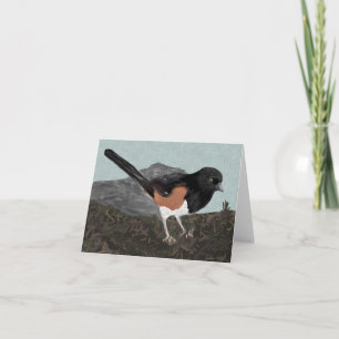 Watercolor Eastern Towhee Note Card