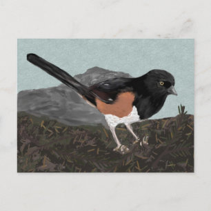 Watercolor Eastern Towhee Postcard