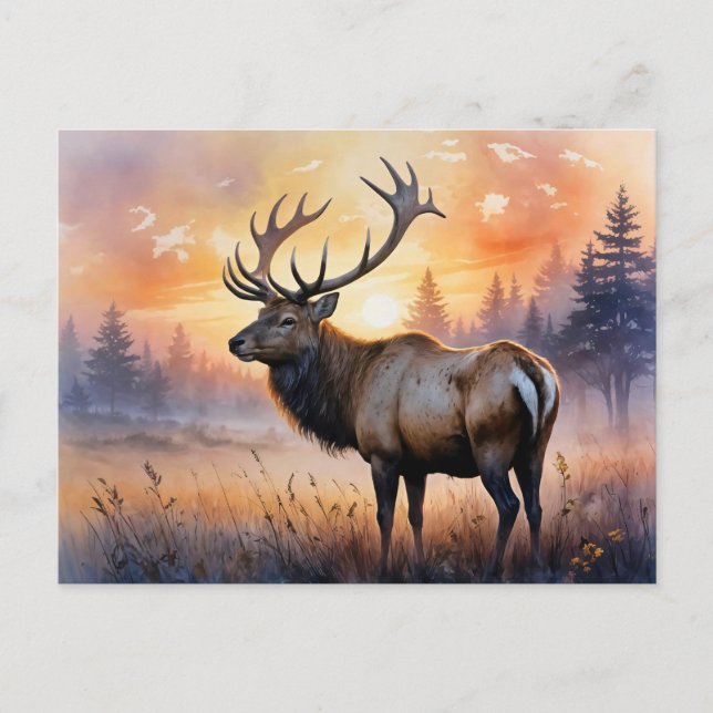 Watercolor Elk at Sunrise Postcard (Front)