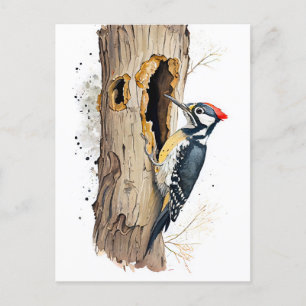 Watercolor Eurasian Treecreeper Searching for Inse Postcard