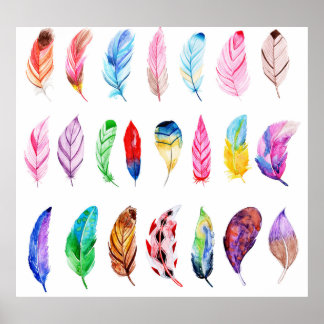 Watercolor Feathers: Beautiful Collection Vintage. Poster