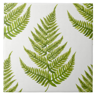 Watercolor Fern Pattern Tile