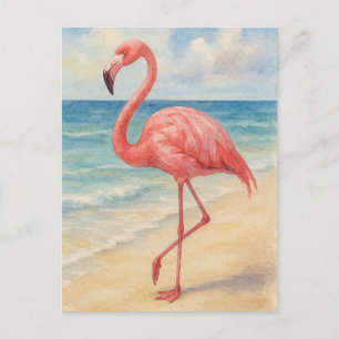Watercolor Flamingo Beach Post Card