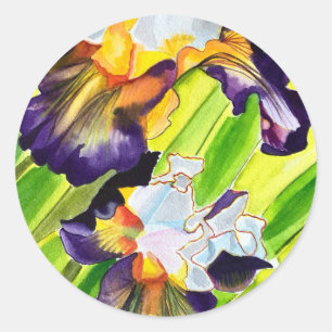 Watercolor floral iris flower classic round sticker