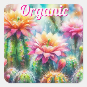 Watercolor Flowering Succulent Cacti Square Sticker