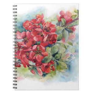 Watercolor flowers red apple quince bloom illustr notebook