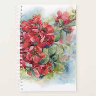 Watercolor flowers red apple quince bloom illustr planner