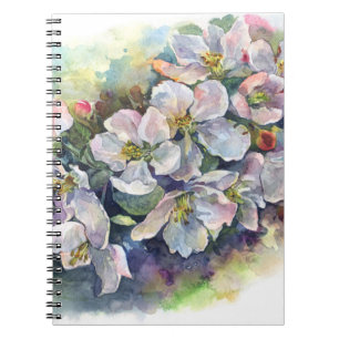 Watercolor flowers white apple bloom illustration notebook