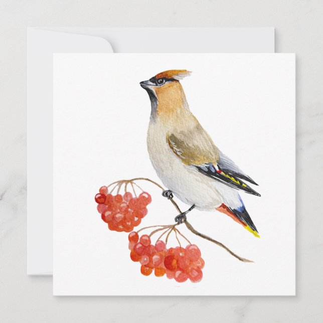 Watercolor forest bird waxwing (Front)