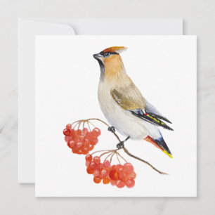 Watercolor forest bird waxwing