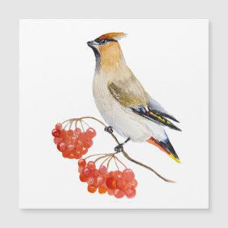 Watercolor forest bird waxwing