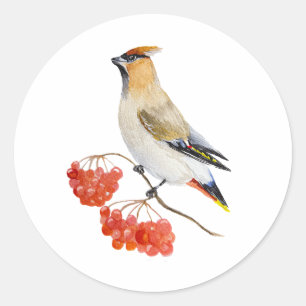 Watercolor forest bird waxwing classic round sticker
