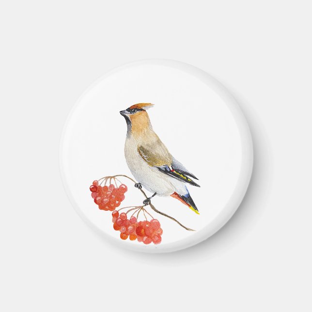 Watercolor forest bird waxwing magnet (Front)