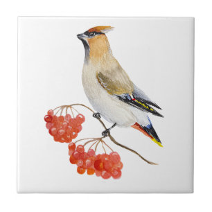 Watercolor forest bird waxwing tile
