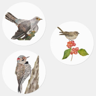 Watercolor forest birds