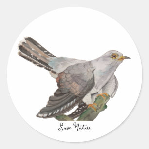 Watercolor forest birds classic round sticker