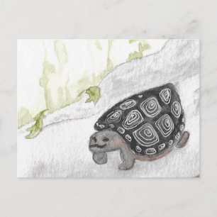 Watercolor Forest Turtle Postcard