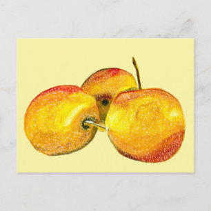 Watercolor fruit yellow pear fruit postcard
