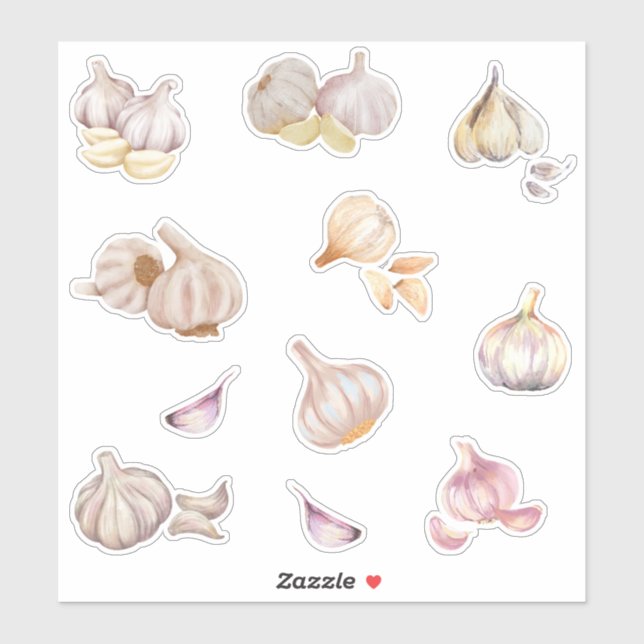 Watercolor Garlic  (Sheet)