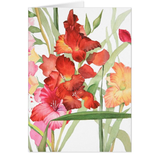 Watercolor Gladiolas (Front)