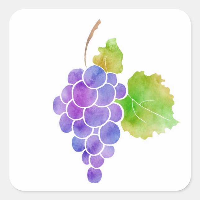 Watercolor Grapes Square Sticker (Front)