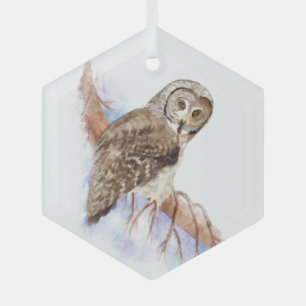 Watercolor Great Grey Grey Owl Bird Wildlife Art Glass Tree Decoration