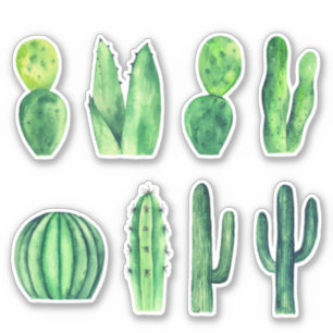 Watercolor green cactus. Succulents. Botanical