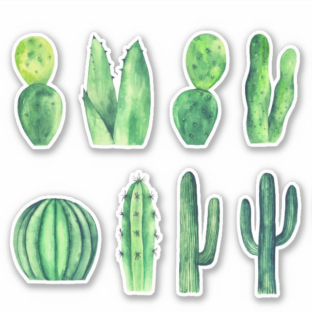Watercolor green cactus. Succulents. Botanical (Front)