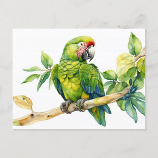 Watercolor Green Parrot on a Tree Branch  Postcard