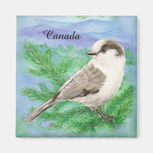 Watercolor Grey, Grey or Canada Jay Bird Custom Magnet