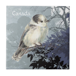 Watercolor Grey, Grey or Canada Jay National Bird Tile