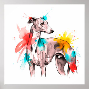 Watercolor Greyhound with Colour Splash Accents Poster