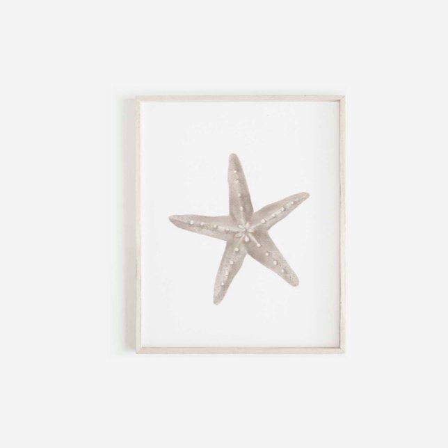 Watercolor hand drawn starfish print (Creator Uploaded)