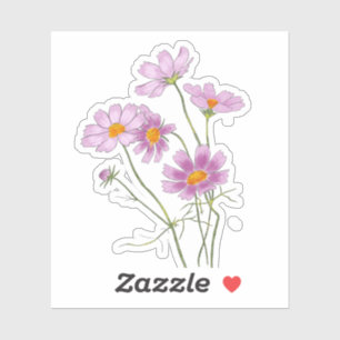 Watercolor Hand-painted Elegant Pink Cosmos 