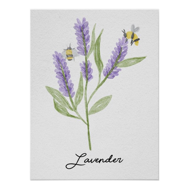 Watercolor Hand-painted Lavender Flowers And Bees Poster (Front)